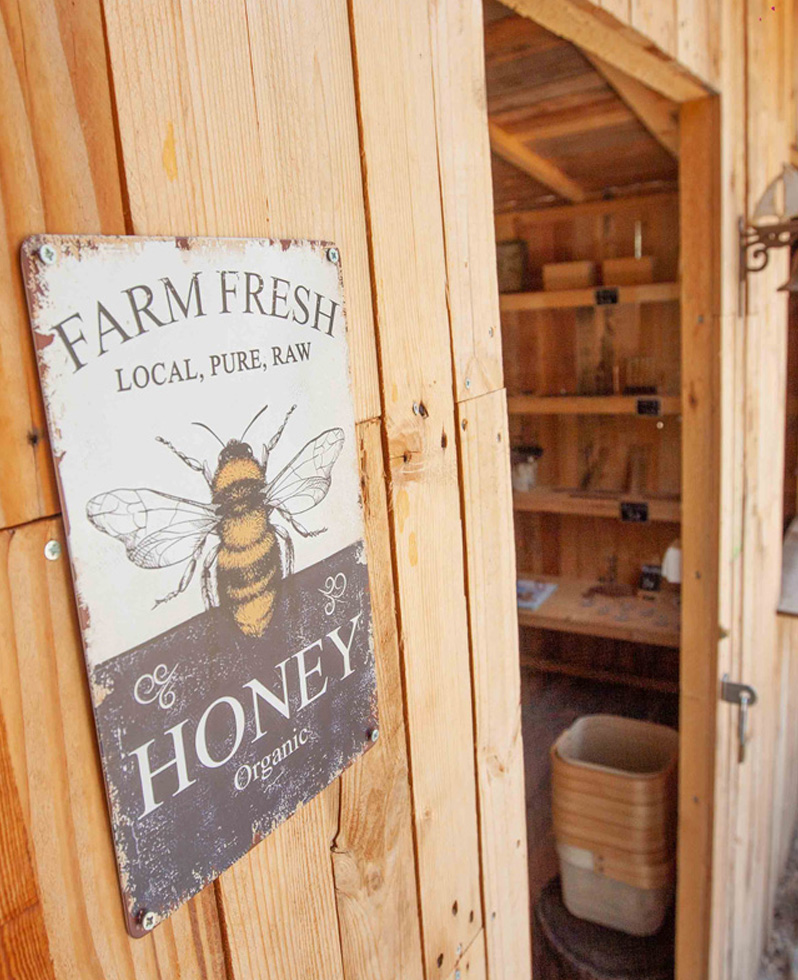 MOKA HONEY | ARTICLE