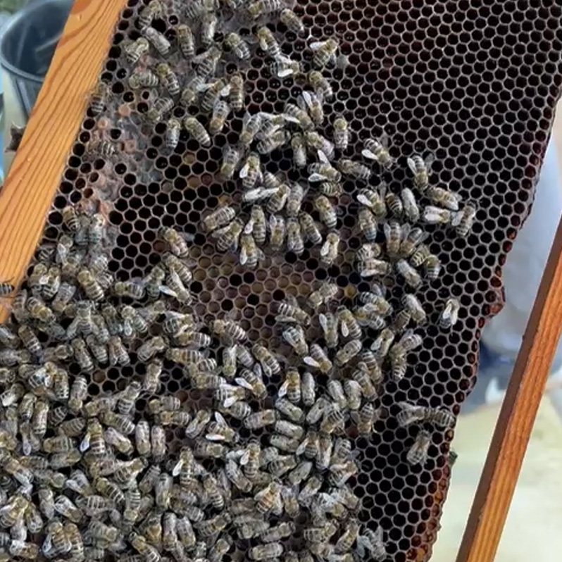 MOKA HONEY | ARTICLE