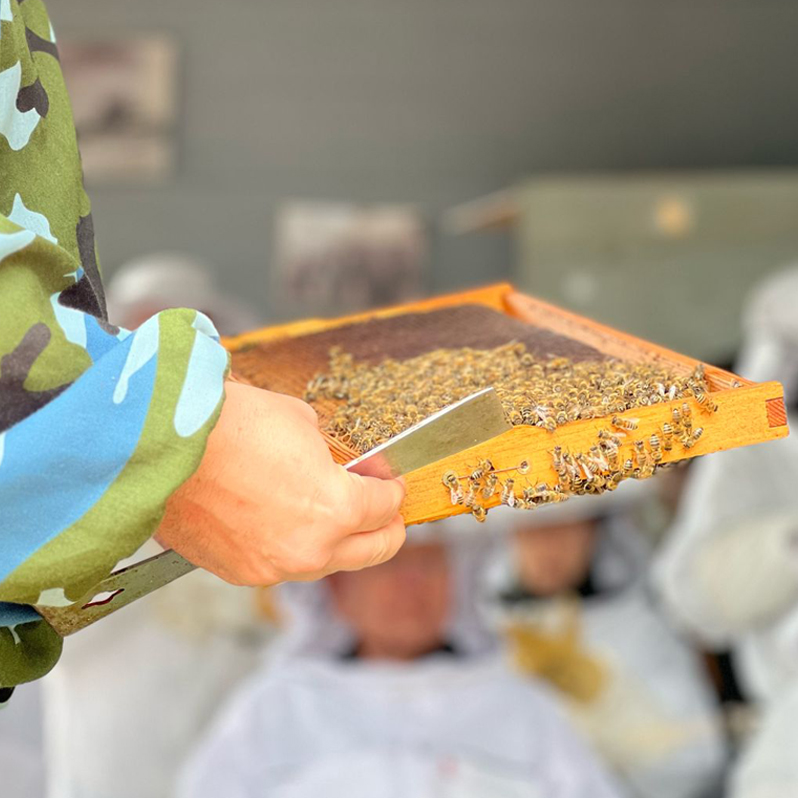 MOKA HONEY | ARTICLE