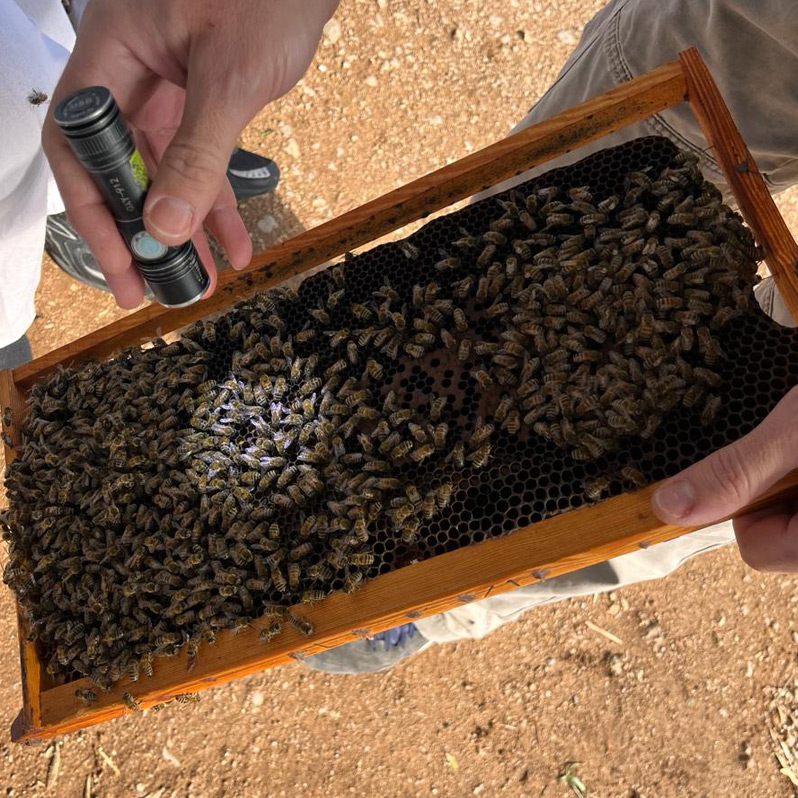 MOKA HONEY | ARTICLE